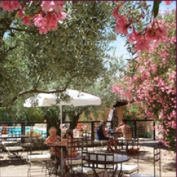 Les Verguettes Provenza-Alpi-Costa Azzurra - Villes-sur-Auzon visuel 5/5