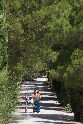 Les Verguettes Provenza-Alpi-Costa Azzurra - Villes-sur-Auzon visuel 2/5