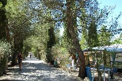 Les Verguettes Provenza-Alpi-Costa Azzurra - Villes-sur-Auzon visuel 3/5