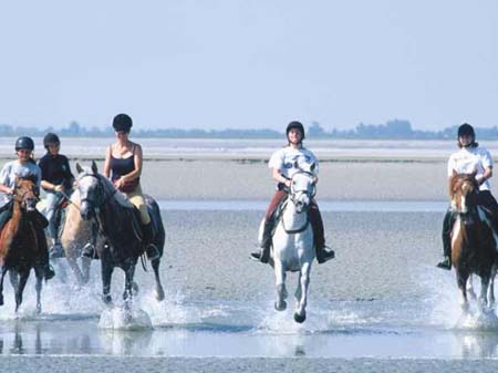 Les Vertes Feuilles Piccardia - Quend visuel 9/11 Les Vertes Feuilles Piccardia - Quend visuel 9/11