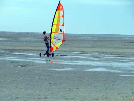 Les Vertes Feuilles Piccardia - Quend visuel 10/11 Les Vertes Feuilles Piccardia - Quend visuel 10/11