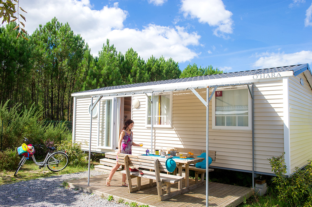 Les Vignes Aquitania - Lit-et-Mixe visuel 10/22