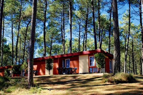Les Villages sous les Pins Aquitania - Léon visuel 2/10