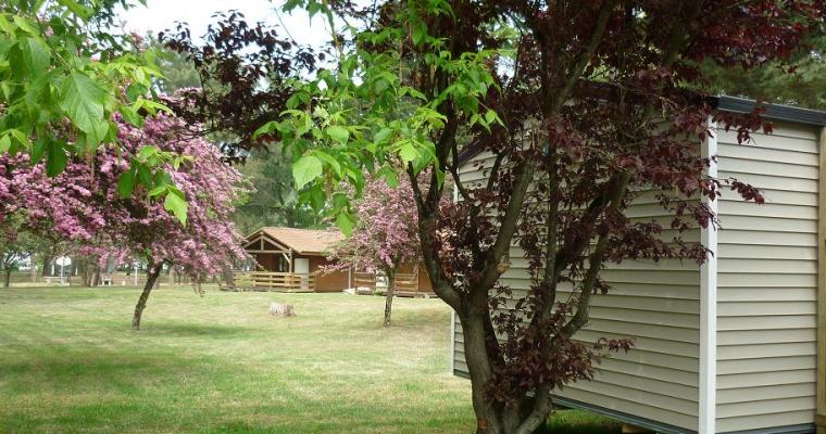 L'Estuaire Paesi della Loira - Paimboeuf visuel 3/10