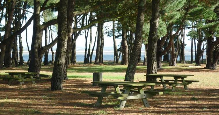 L'Estuaire Paesi della Loira - Paimboeuf visuel 5/10