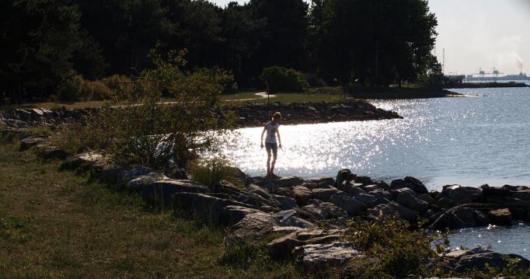 L'Estuaire Paesi della Loira - Paimboeuf visuel 7/10