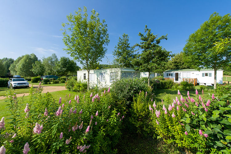 l'Etang Paesi della Loira - Brissac Quincé visuel 4/11 l'Etang Paesi della Loira - Brissac Quincé visuel 4/11