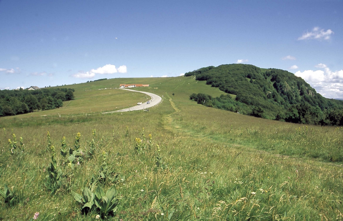 L'Etang des Forges Franca Contea - Belfort visuel 8/9