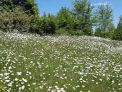 Les Portes du Morvan Bourgogne - Issy-l'Évêque visuel 8/9 Les Portes du Morvan Bourgogne - Issy-l'Évêque visuel 8/9