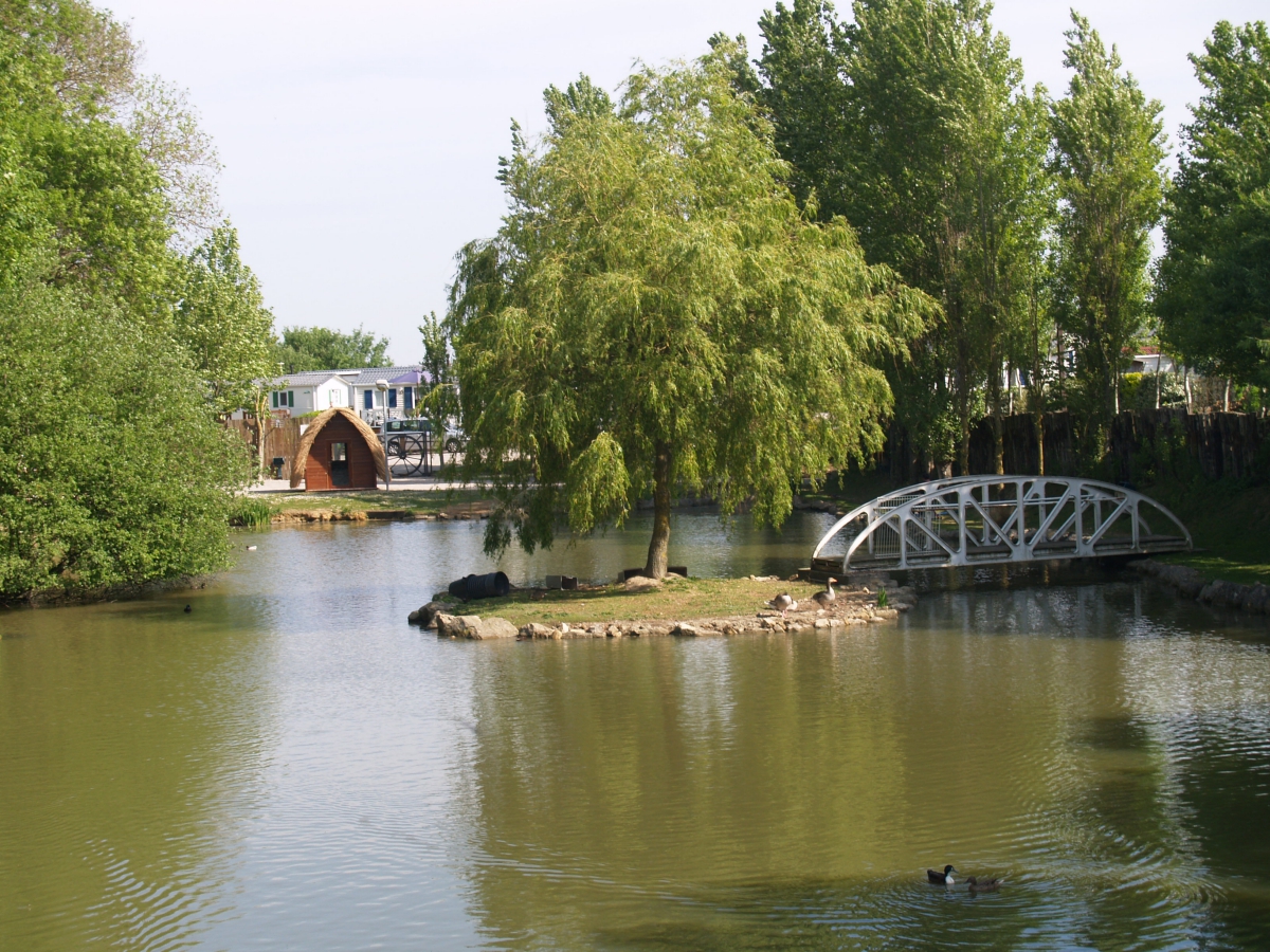 L'Eté Indien Nord-Passo di Calais - Wimereux visuel 2/8