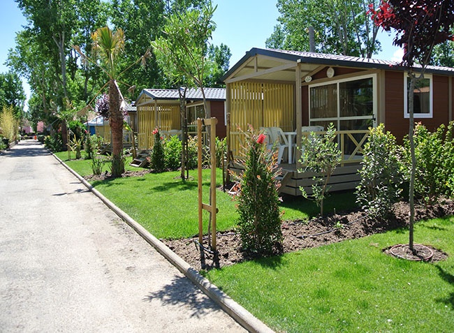 L'Etoile de Mer Linguadoca-Rossiglione - Sérignan visuel 5/12