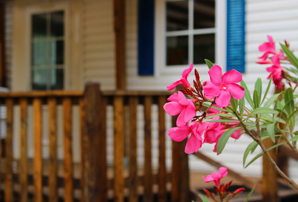 L'Evasion Linguadoca-Rossiglione - Fontès visuel 1/1 L'Evasion Linguadoca-Rossiglione - Fontès visuel 1/1