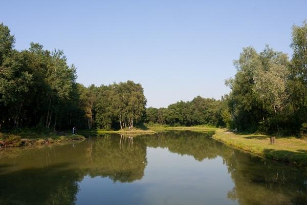 l'Hermitage Nord-Passo di Calais - Helfaut visuel 3/7 l'Hermitage Nord-Passo di Calais - Helfaut visuel 3/7