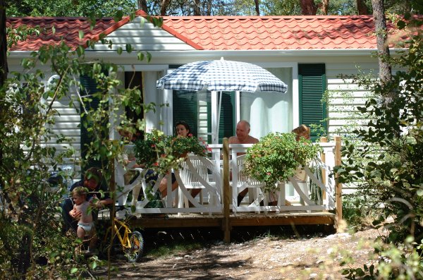 L'Hirondelle Rodano-Alpi - Menglon visuel 10/10