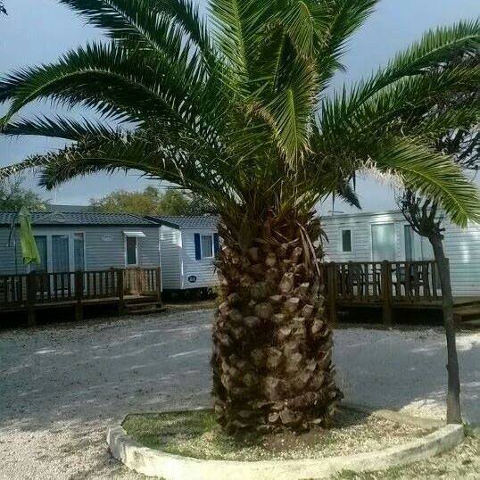 L'Horizon Linguadoca-Rossiglione - Frontignan visuel 1/1