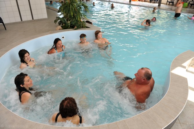 L'ile aux Oiseaux Paesi della Loira - L'Île-d'Olonne visuel 3/8