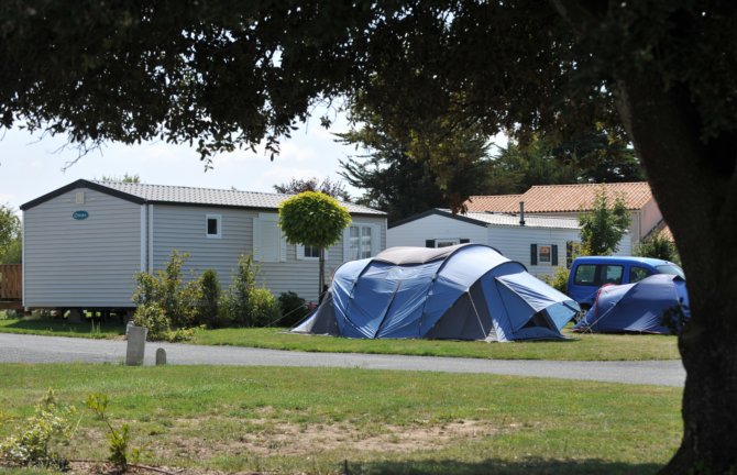 L'ile aux Oiseaux Paesi della Loira - L'Île-d'Olonne visuel 5/8