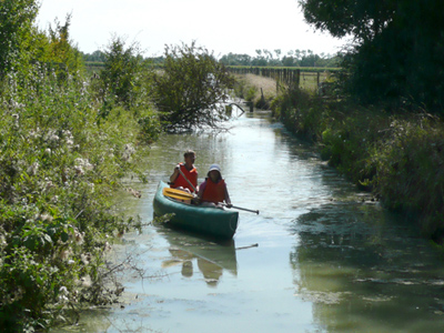 L'Ile Cariot Paesi della Loira - Chaillé-les-Marais visuel 5/9