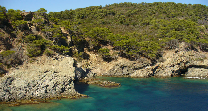 L'Ile d'Or Provenza-Alpi-Costa Azzurra - Hyères visuel 31/32 L'Ile d'Or Provenza-Alpi-Costa Azzurra - Hyères visuel 31/32