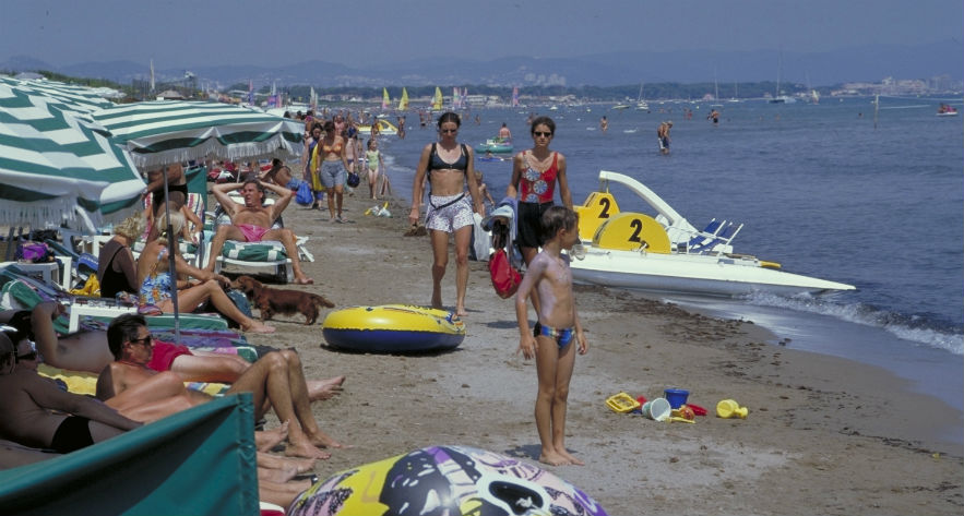 L'Ile d'Or Provenza-Alpi-Costa Azzurra - Hyères visuel 20/32 L'Ile d'Or Provenza-Alpi-Costa Azzurra - Hyères visuel 20/32