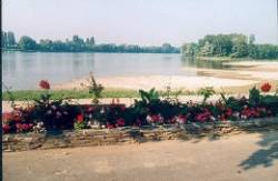 l'Île du Château Paesi della Loira - Les Ponts-de-Cé visuel 6/7 l'Île du Château Paesi della Loira - Les Ponts-de-Cé visuel 6/7