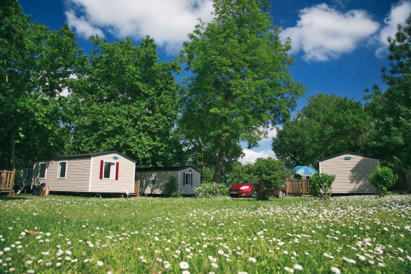 L'Isle Verte Paesi della Loira - Montsoreau visuel 28/28 L'Isle Verte Paesi della Loira - Montsoreau visuel 28/28