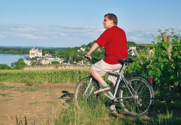 L'Isle Verte Paesi della Loira - Montsoreau visuel 24/28 L'Isle Verte Paesi della Loira - Montsoreau visuel 24/28