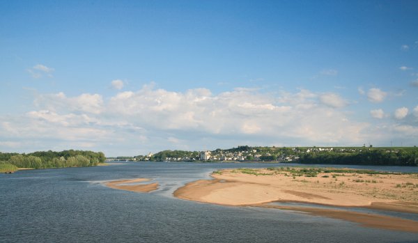 L'Isle Verte Paesi della Loira - Montsoreau visuel 22/28 L'Isle Verte Paesi della Loira - Montsoreau visuel 22/28