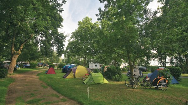 L'Isle Verte Paesi della Loira - Montsoreau visuel 21/28 L'Isle Verte Paesi della Loira - Montsoreau visuel 21/28