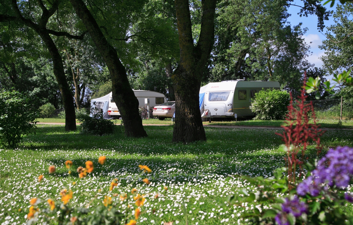 L'Isle Verte Paesi della Loira - Montsoreau visuel 20/28 L'Isle Verte Paesi della Loira - Montsoreau visuel 20/28