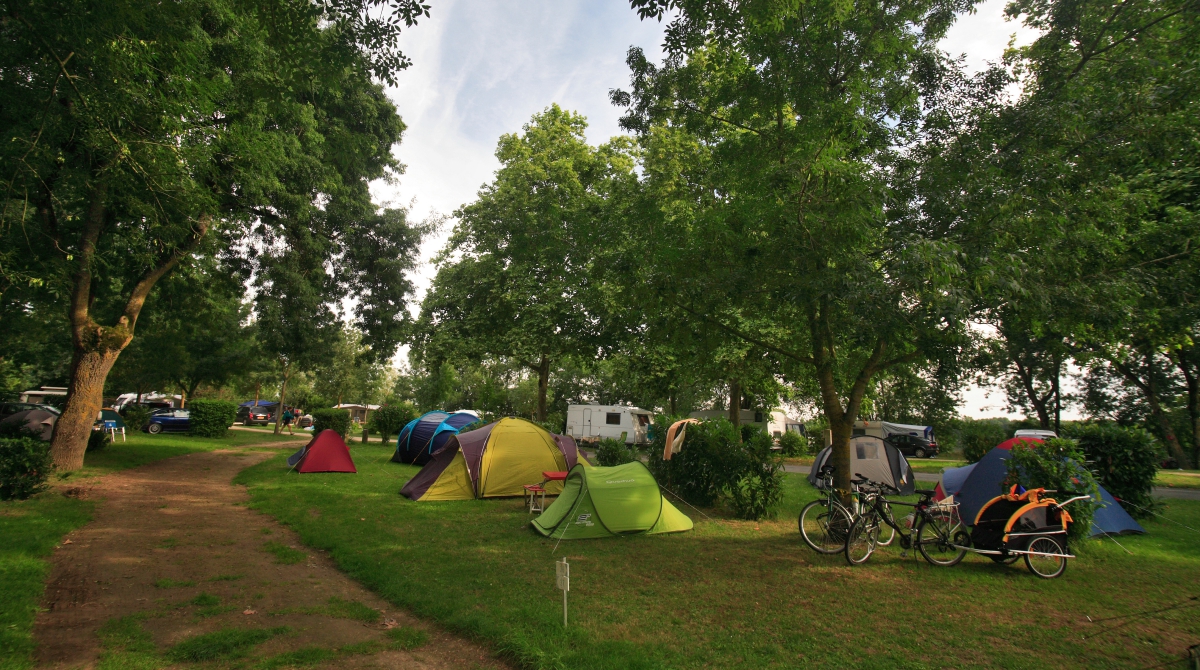 L'Isle Verte Paesi della Loira - Montsoreau visuel 19/28 L'Isle Verte Paesi della Loira - Montsoreau visuel 19/28