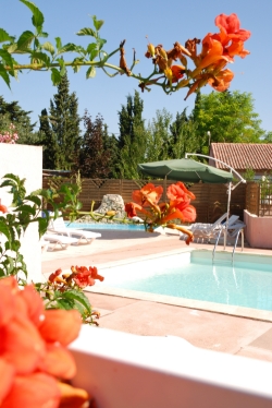 l'Olivier Linguadoca-Rossiglione - Junas visuel 3/11