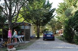 l'Olivier Linguadoca-Rossiglione - Junas visuel 5/11