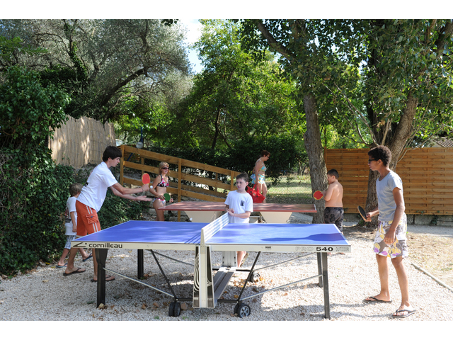 l'Olivier Linguadoca-Rossiglione - Junas visuel 8/11