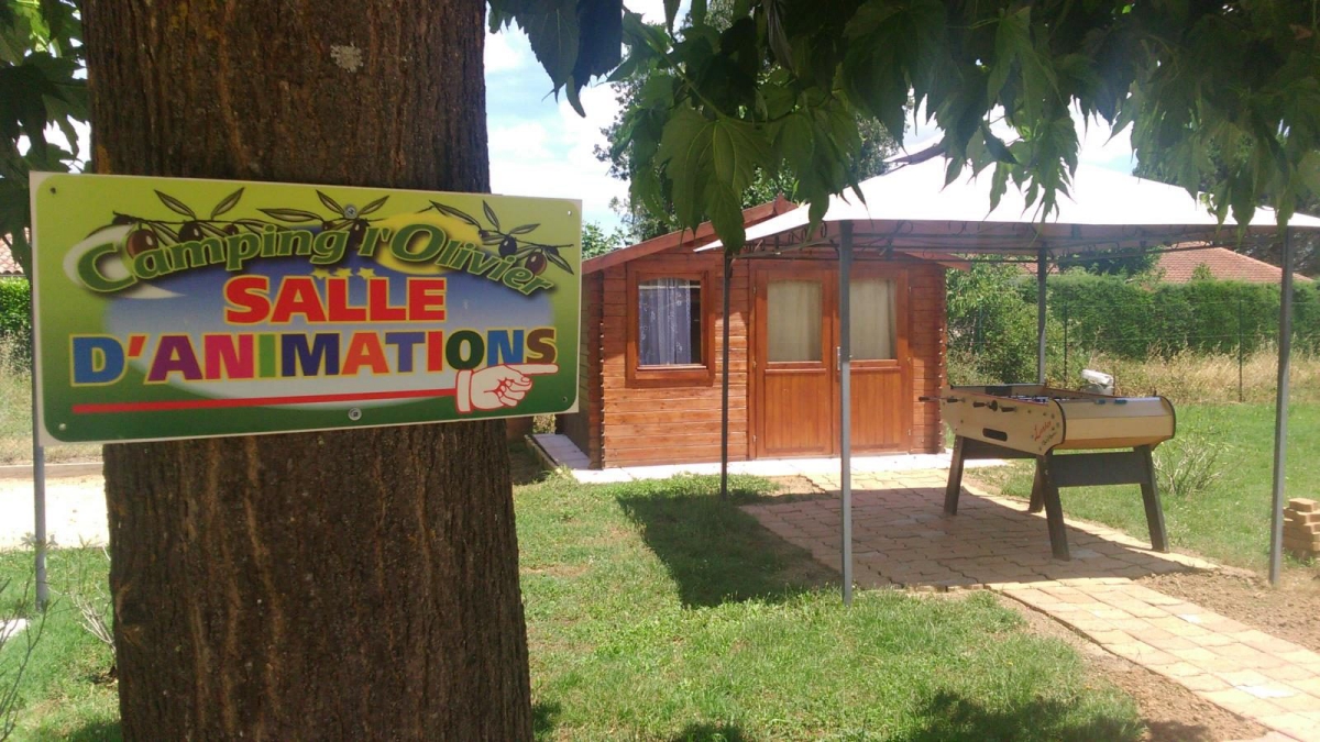 l'Olivier Linguadoca-Rossiglione - Massillargues-Attuech visuel 2/5