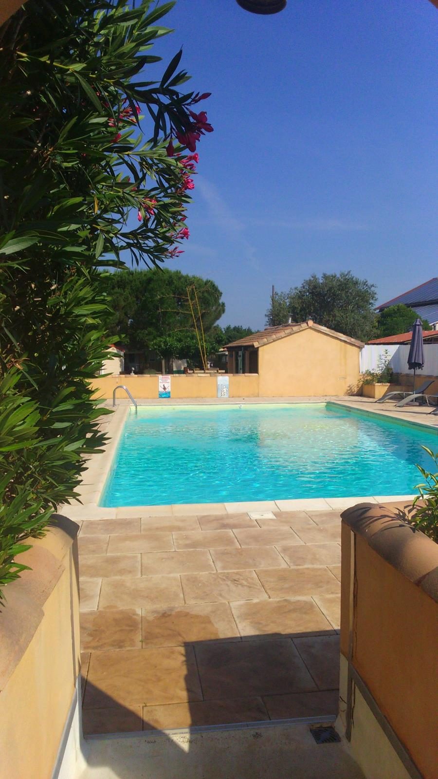 l'Olivier Linguadoca-Rossiglione - Massillargues-Attuech visuel 3/5