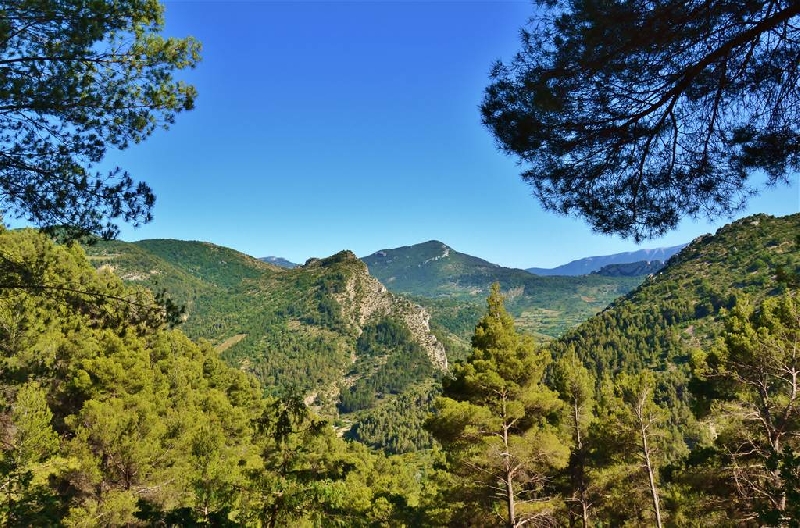 L'Orée de Provence Rodano-Alpi - Buis-les-Baronnies visuel 4/4