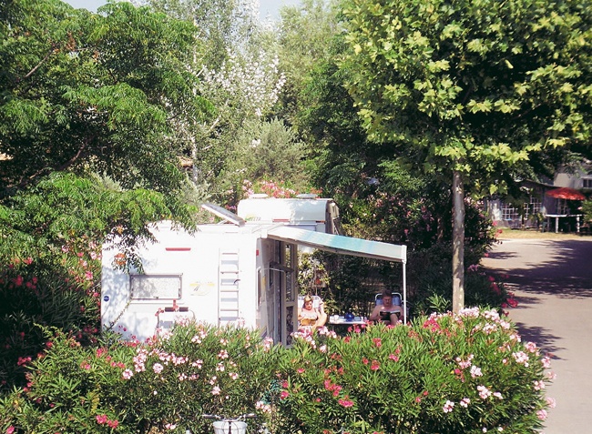 Lou Comtadou Provenza-Alpi-Costa Azzurra - Carpentras visuel 2/10 Lou Comtadou Provenza-Alpi-Costa Azzurra - Carpentras visuel 2/10