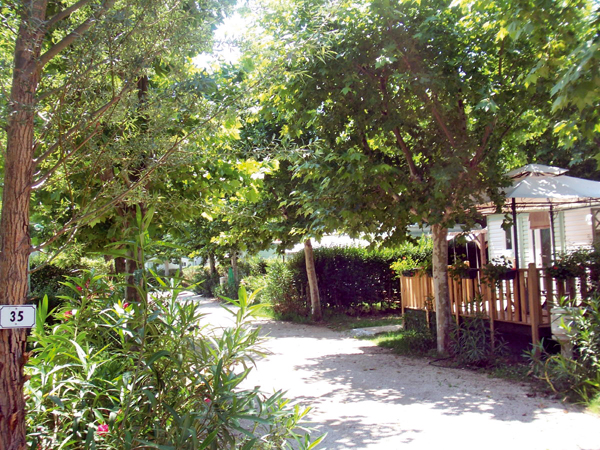 Lou Comtadou Provenza-Alpi-Costa Azzurra - Carpentras visuel 4/10 Lou Comtadou Provenza-Alpi-Costa Azzurra - Carpentras visuel 4/10