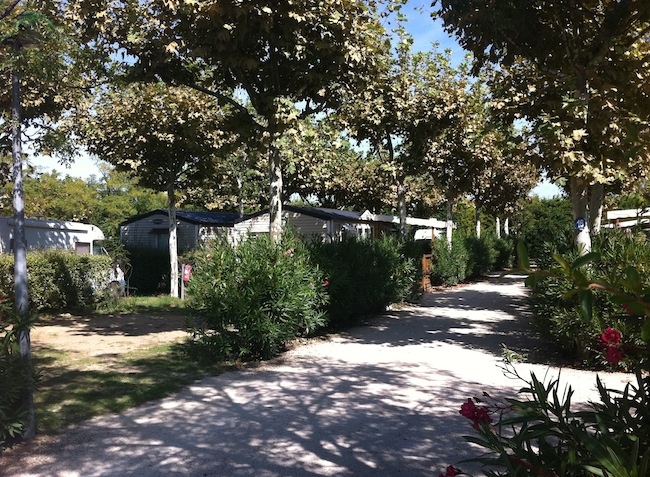 Lou Comtadou Provenza-Alpi-Costa Azzurra - Carpentras visuel 8/10 Lou Comtadou Provenza-Alpi-Costa Azzurra - Carpentras visuel 8/10