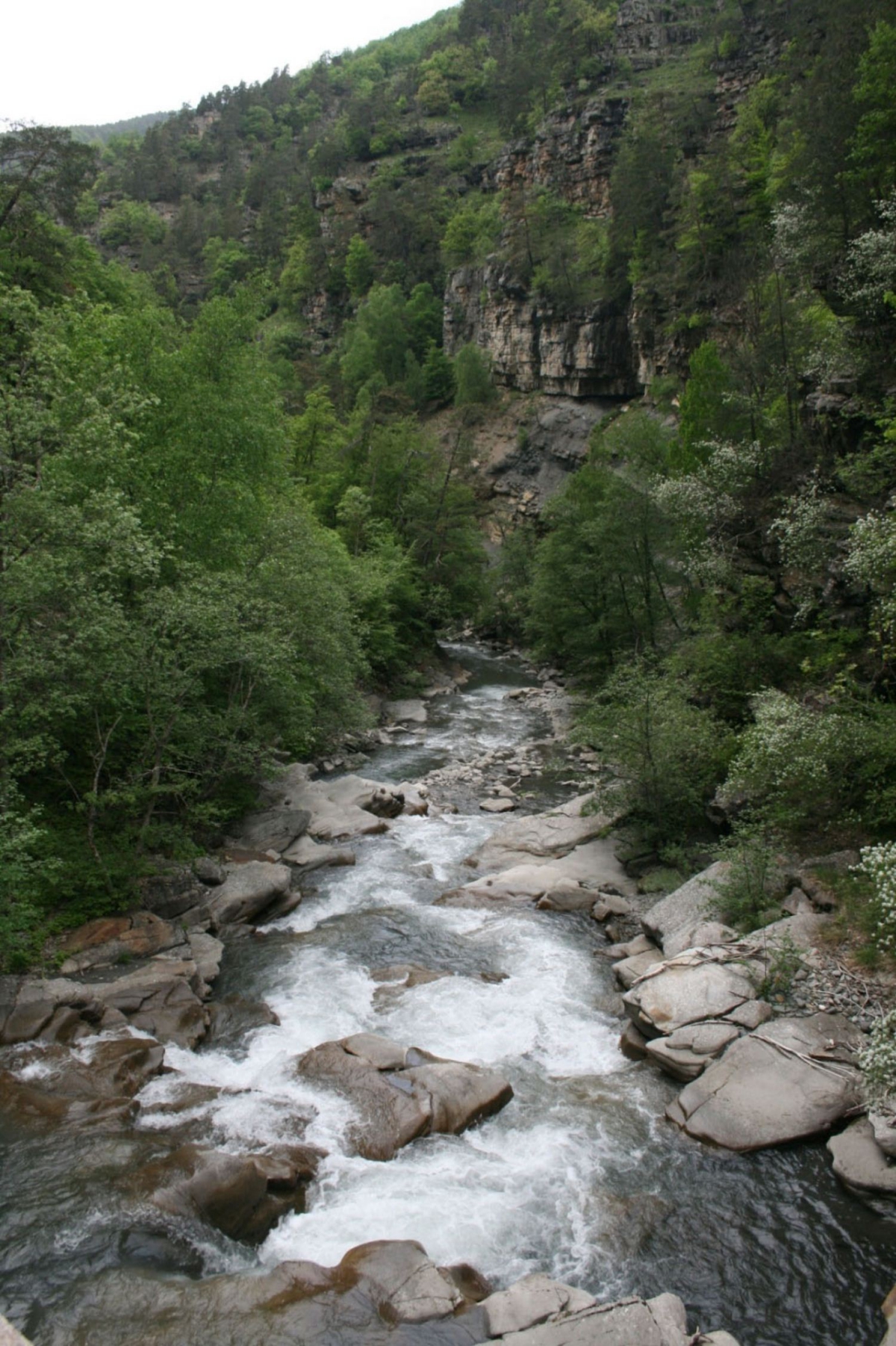 Lou Passavous Provenza-Alpi-Costa Azzurra - Le Vernet visuel 7/7