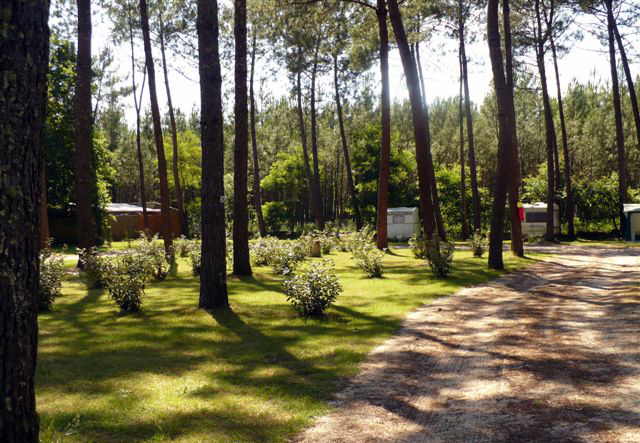 Lou Payou Aquitania - Lesperon visuel 12/16