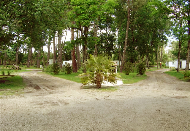 Lou Payou Aquitania - Lesperon visuel 13/16