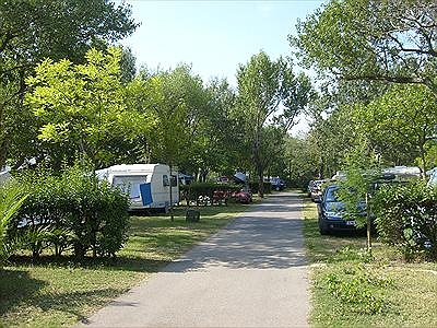 Lou Vincen Linguadoca-Rossiglione - Vallabrègues visuel 5/6