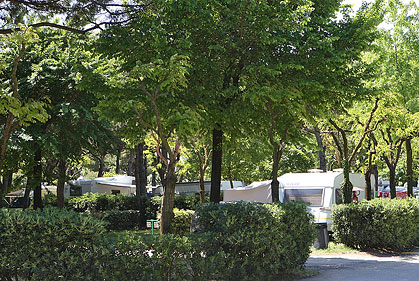 Malibu Beach Veneto - Lido di Jesolo visuel 8/9