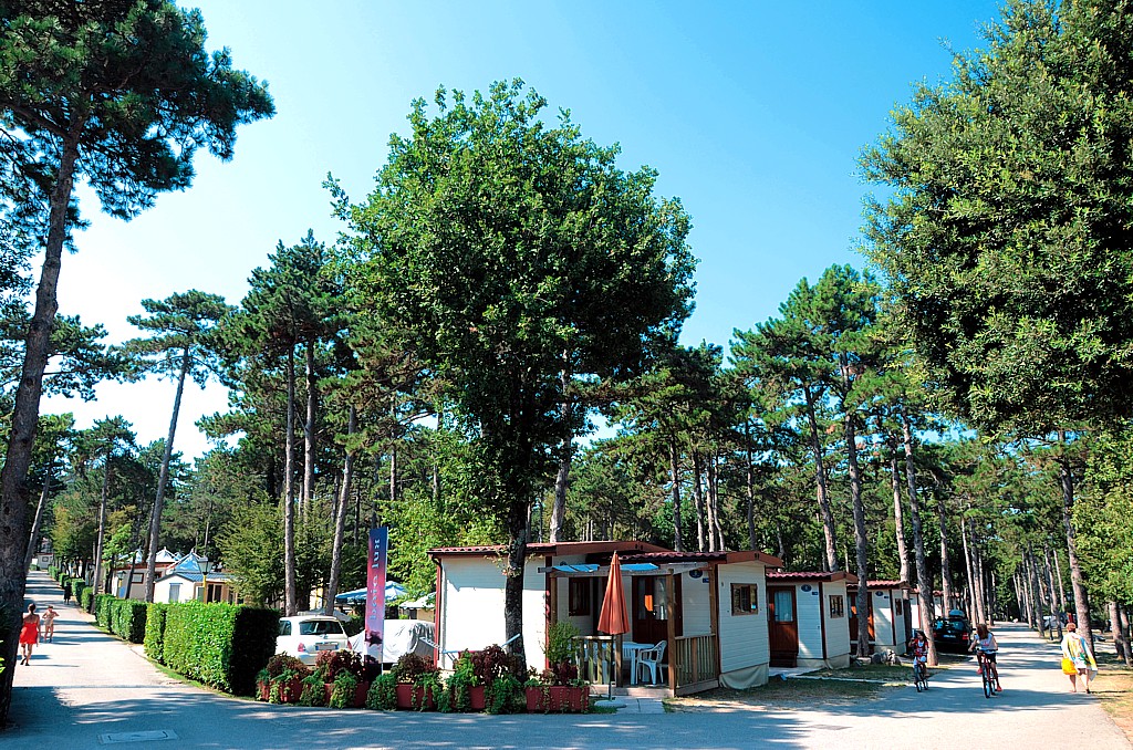 Mare Pineta Friuli-Venezia Giulia - Sistiana visuel 5/11