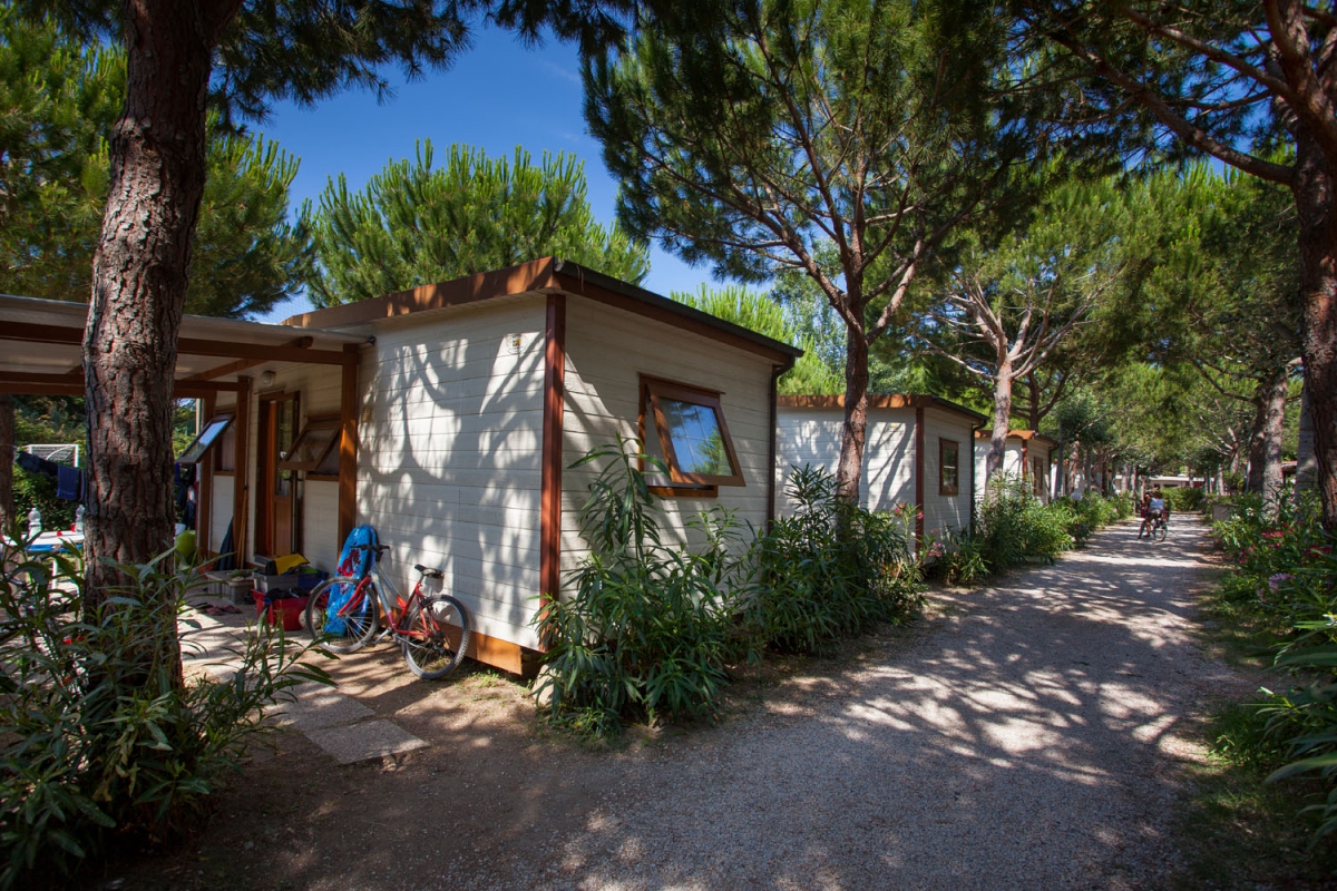 Mareblu Toscana - Cecina visuel 7/8 Mareblu Toscana - Cecina visuel 7/8