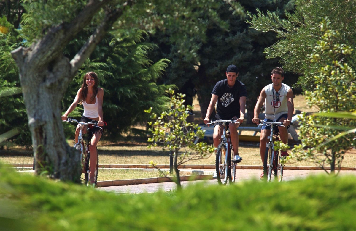 Mareda Istria - Novigrad visuel 6/10 Mareda Istria - Novigrad visuel 6/10