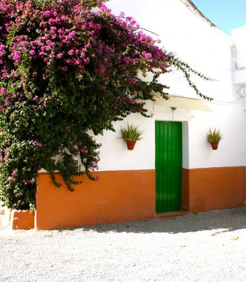 María Eugenia Andalusia - Grenade visuel 2/10