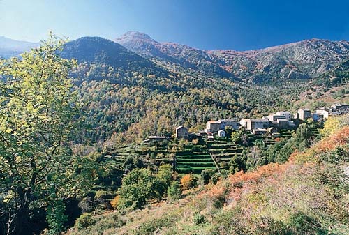 Marina d'Aléria Corsica - Aléria visuel 9/10